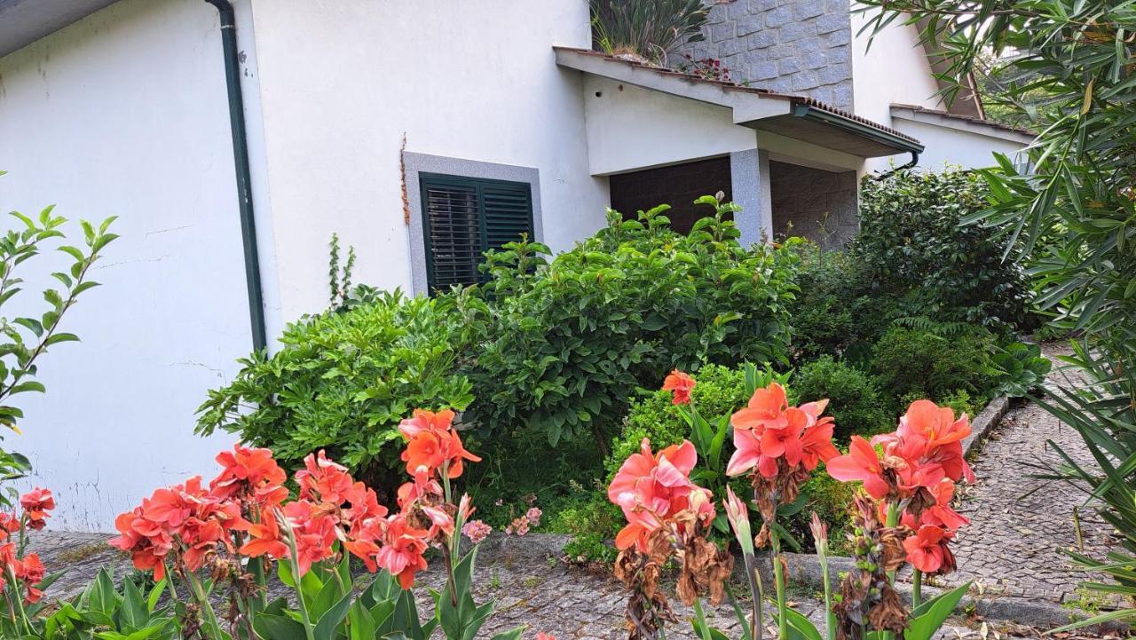 منزل الضيف São Pedro do Sul  في Casa Pinho المظهر الخارجي الصورة