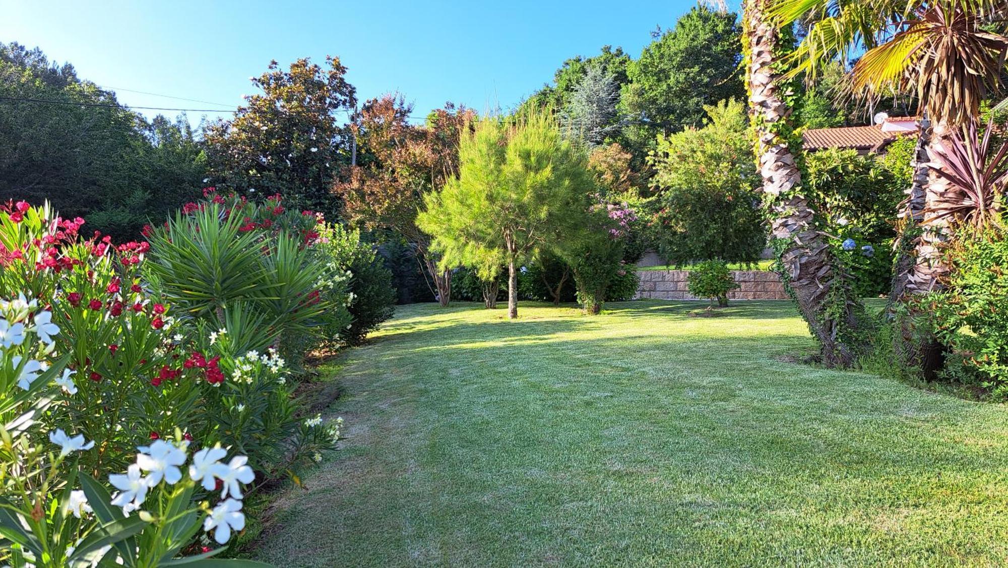منزل الضيف São Pedro do Sul  في Casa Pinho المظهر الخارجي الصورة