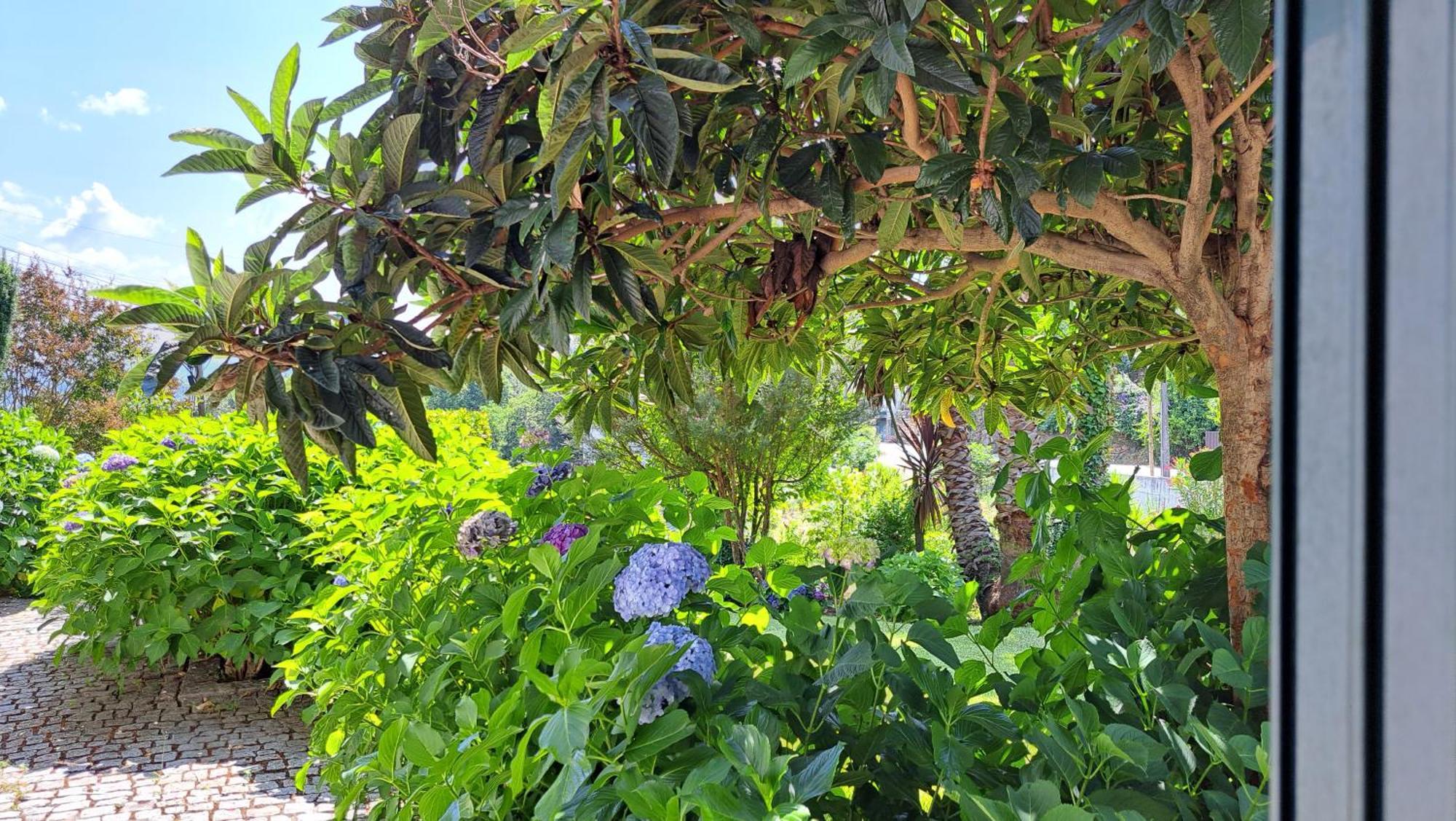 منزل الضيف São Pedro do Sul  في Casa Pinho المظهر الخارجي الصورة