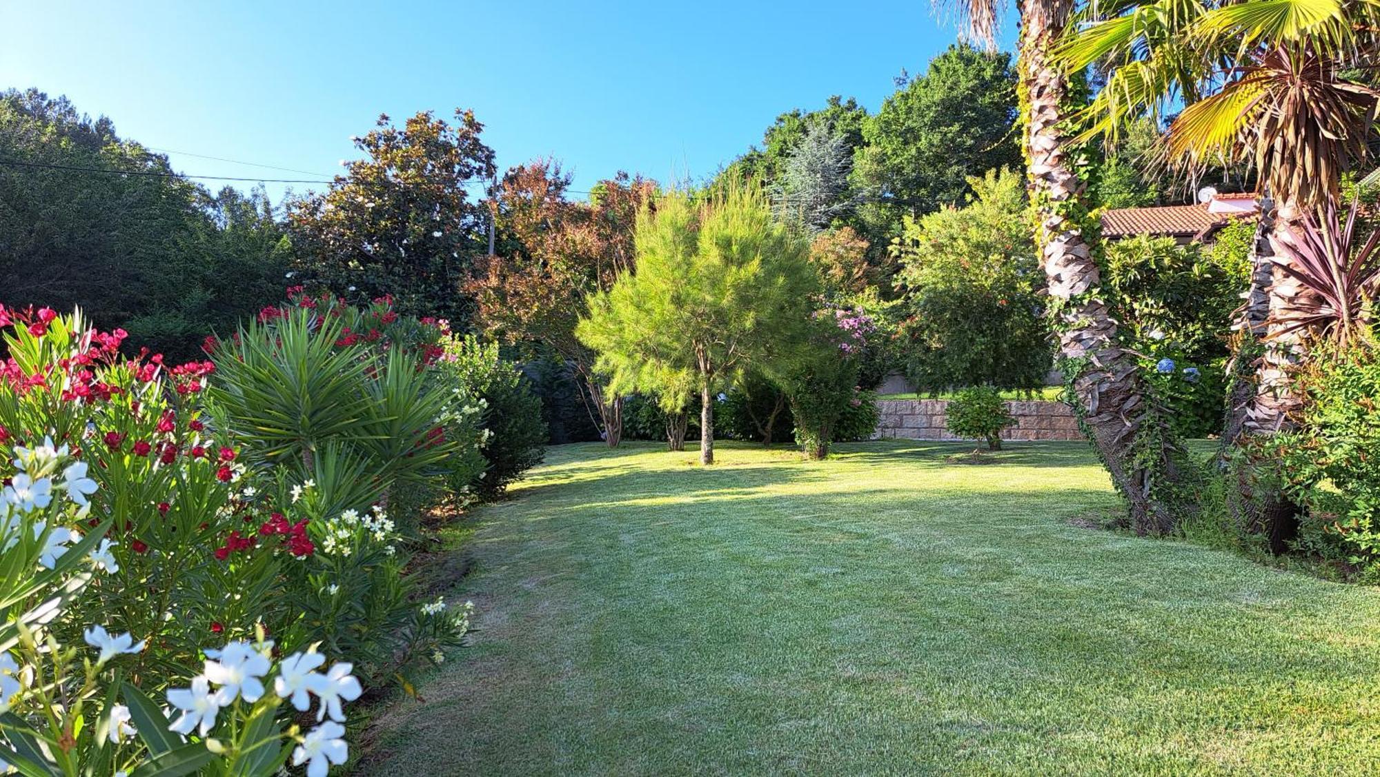 منزل الضيف São Pedro do Sul  في Casa Pinho المظهر الخارجي الصورة
